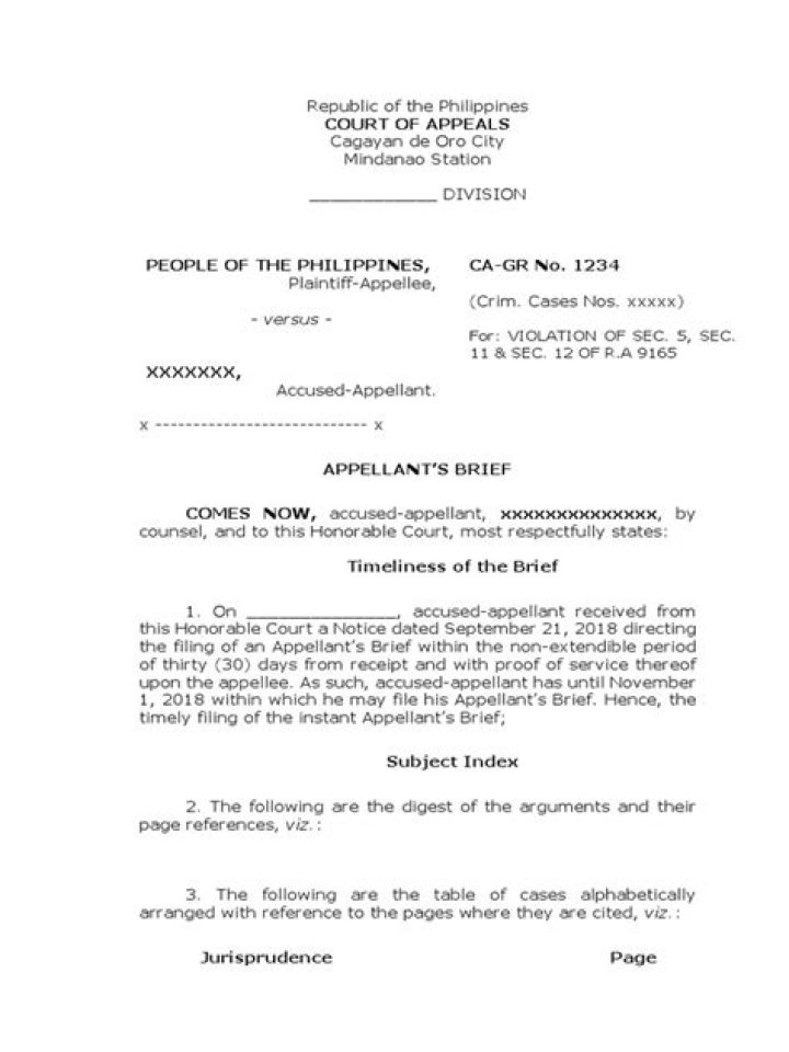 Are appellate briefs public record?