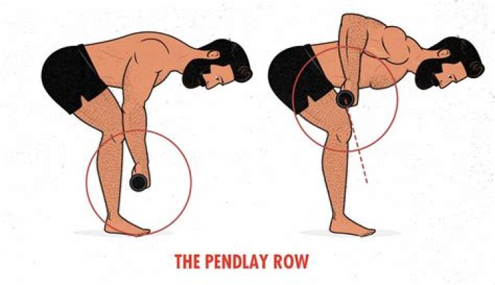 Are barbell rows good?