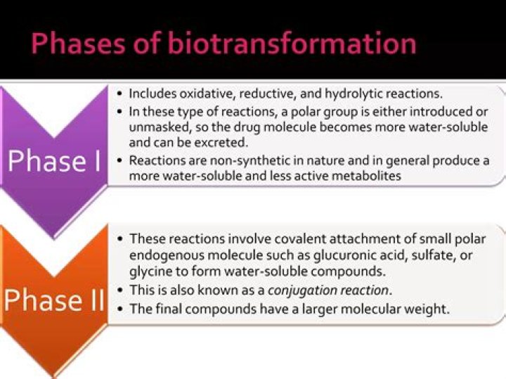 Are bioactivation and biotransformation the same?