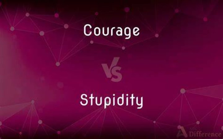 Are courage and stupidity the same?