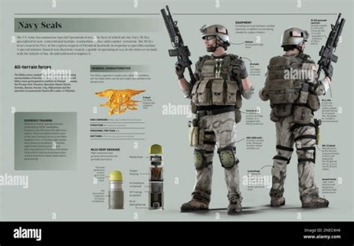 Are navy seals undermanned?
