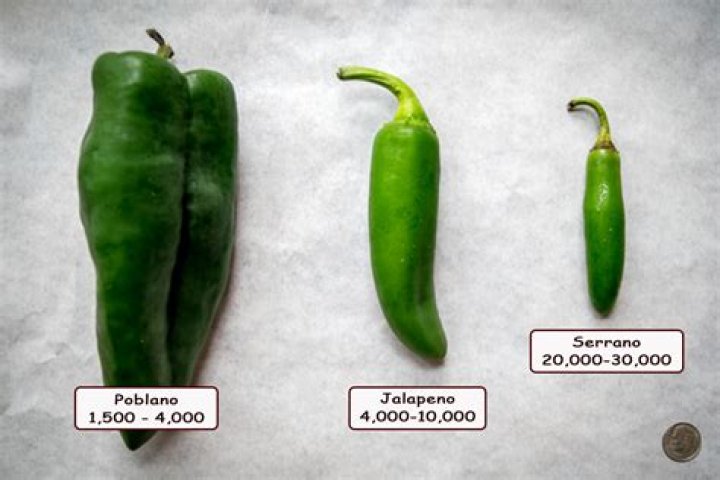 Are serrano peppers spicy?