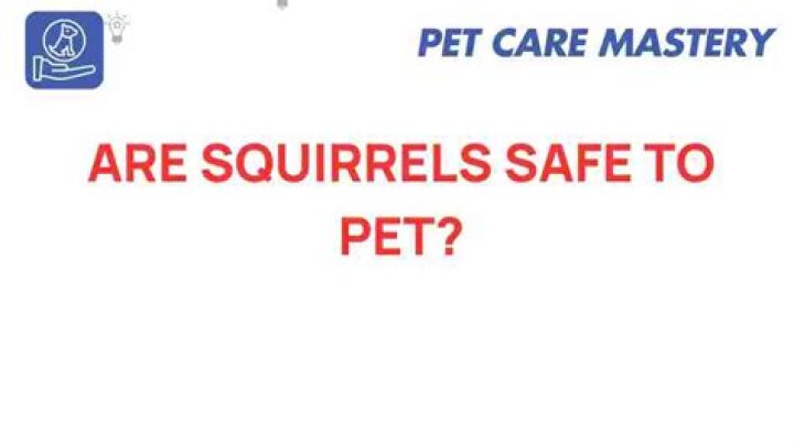 Are Squirrels safe?