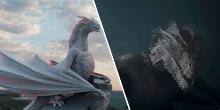 Are there dragons in Australia?