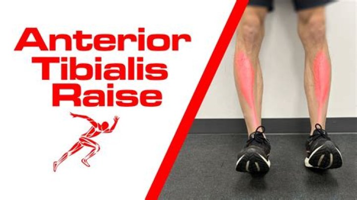 Are tibialis raises good?