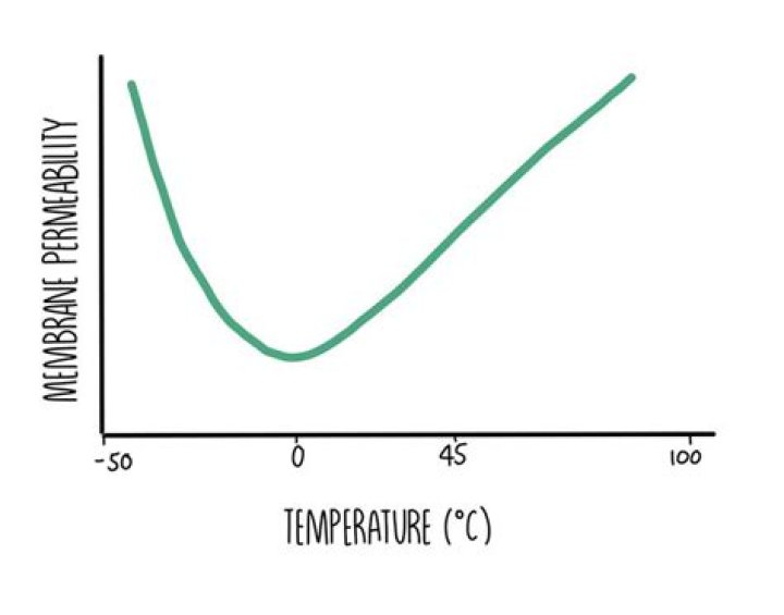 At neel temperature permeability is?