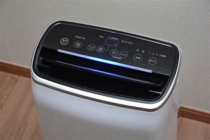 Can a dehumidifier be too big?
