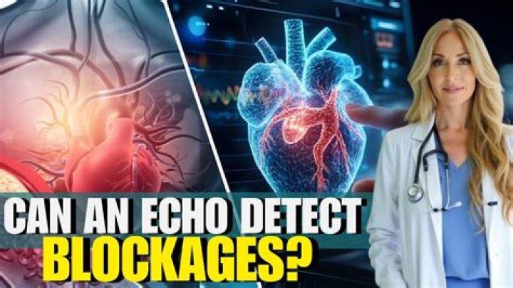 Can an echo detect blockages?