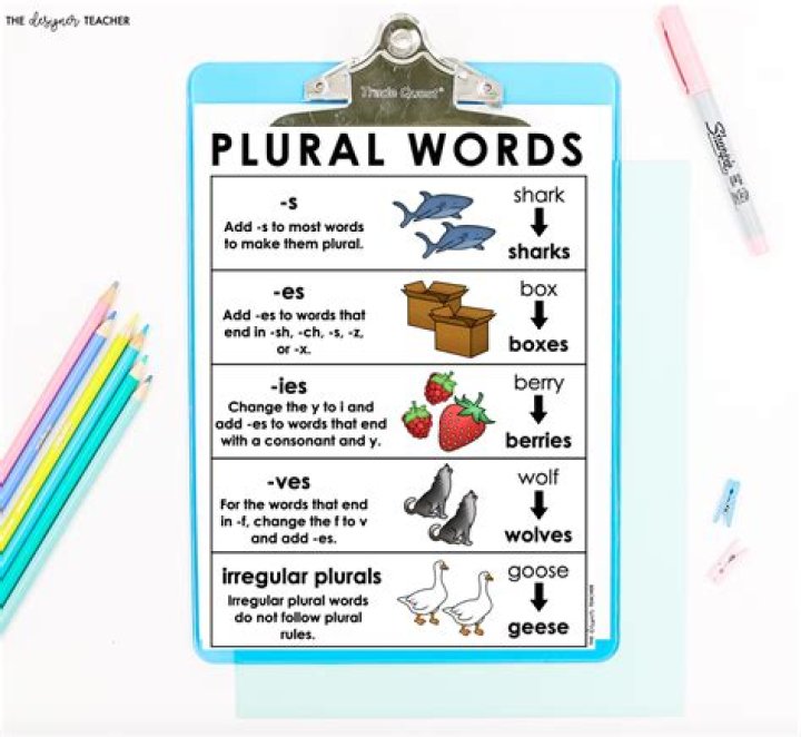 Can classification be plural?