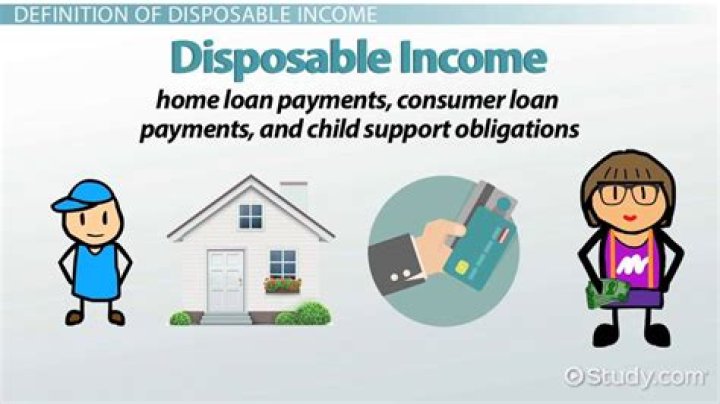 Can disposable be a noun?