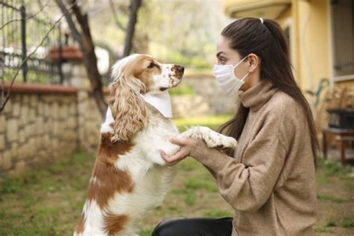 Can humans get kennel?