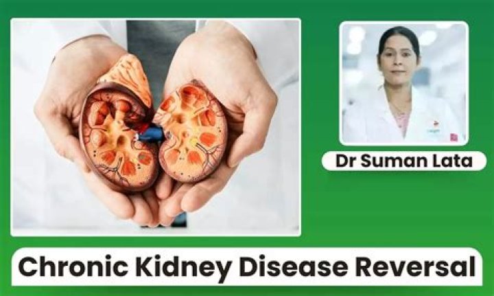 Can kidney calcification be reversed?