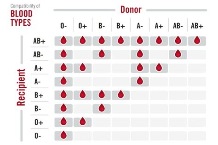 Can o+ donate to anyone?