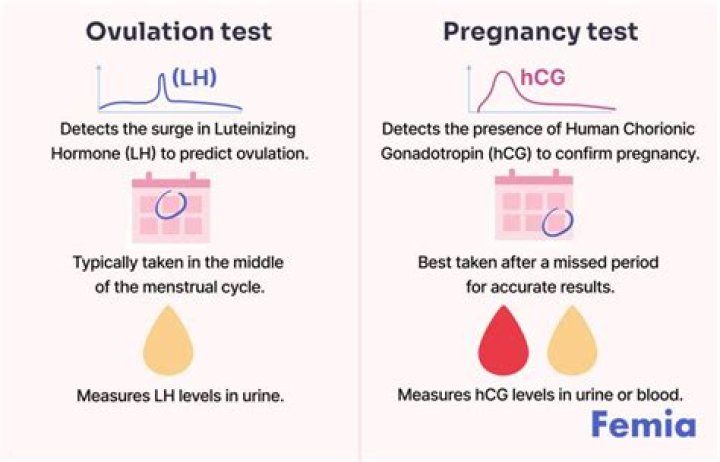 Can ovulation test detect pregnancy before hpt?