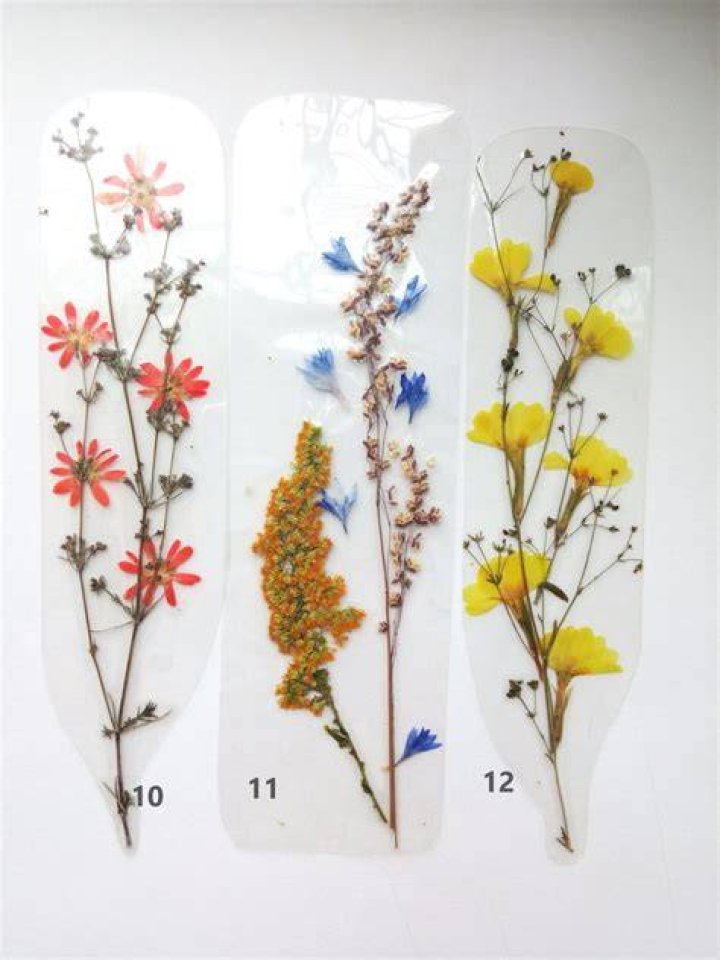 Can pressed flowers be laminated?