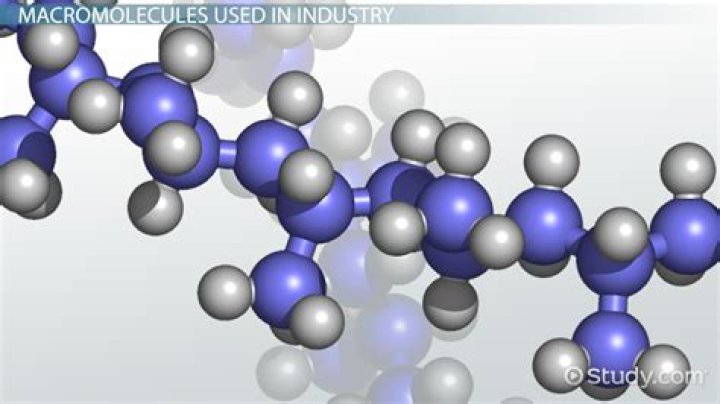 Can you break down macromolecules?