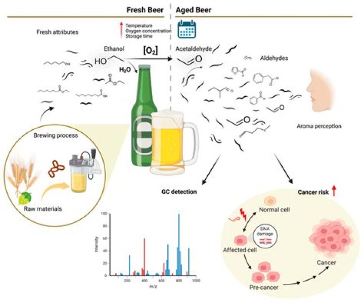 Can you remove acetaldehyde from beer?