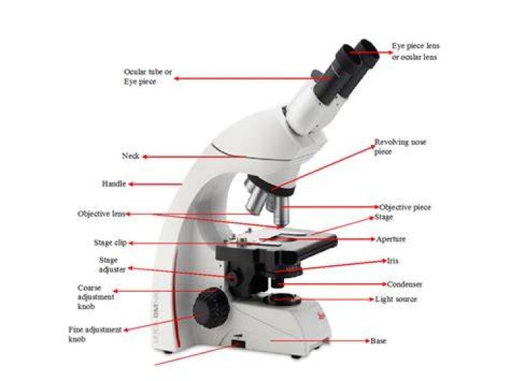 Could you use a microscope as a telescope?