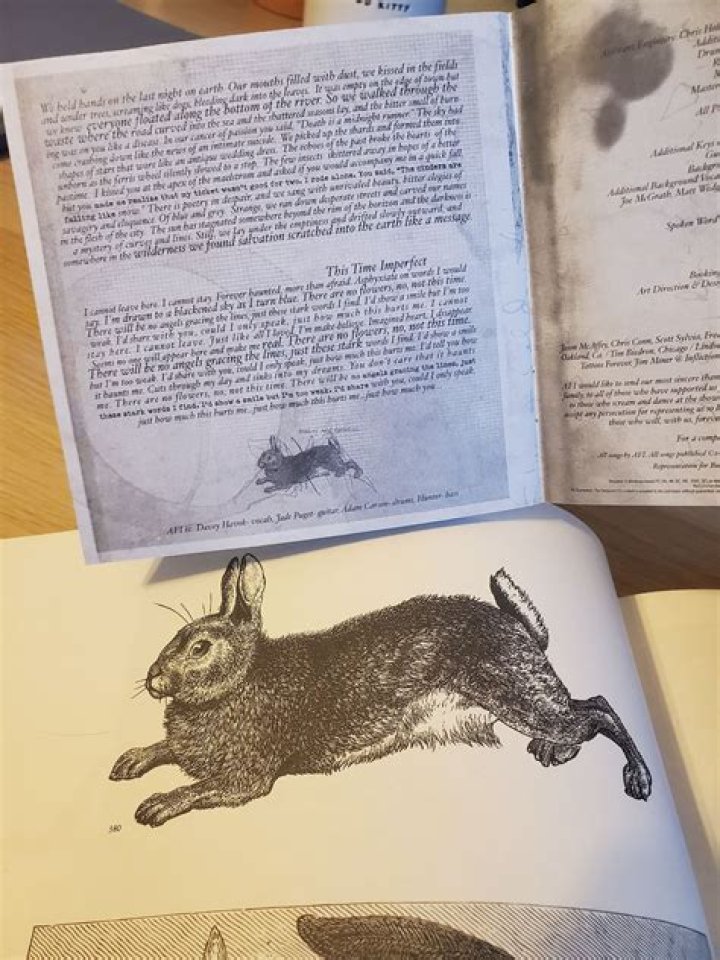 Did eddie rabbit sing the wanderer?