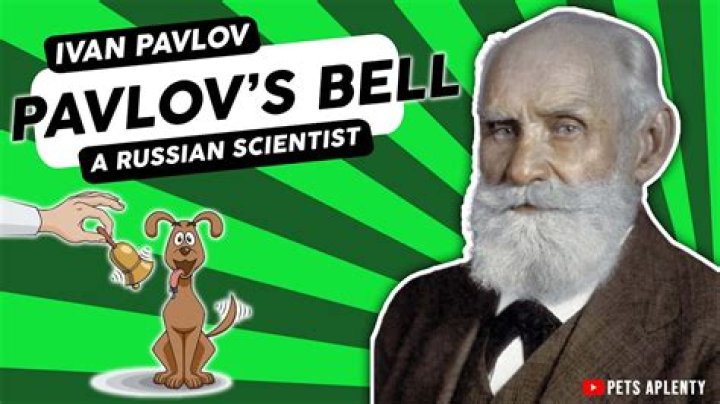 Did pavlov use a bell?