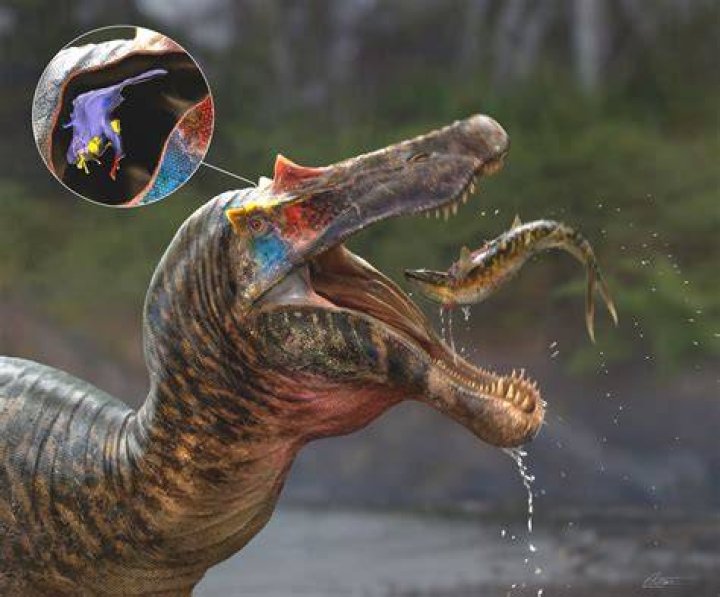 Did sauropods have two brains?