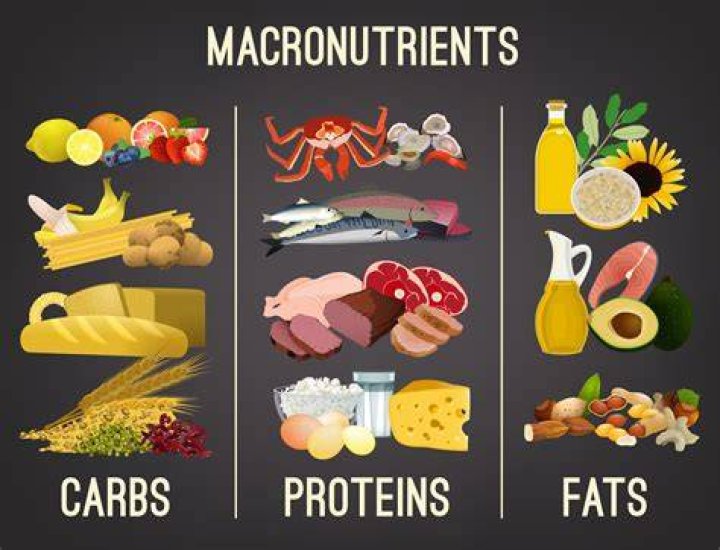 Do carbs make you fat?