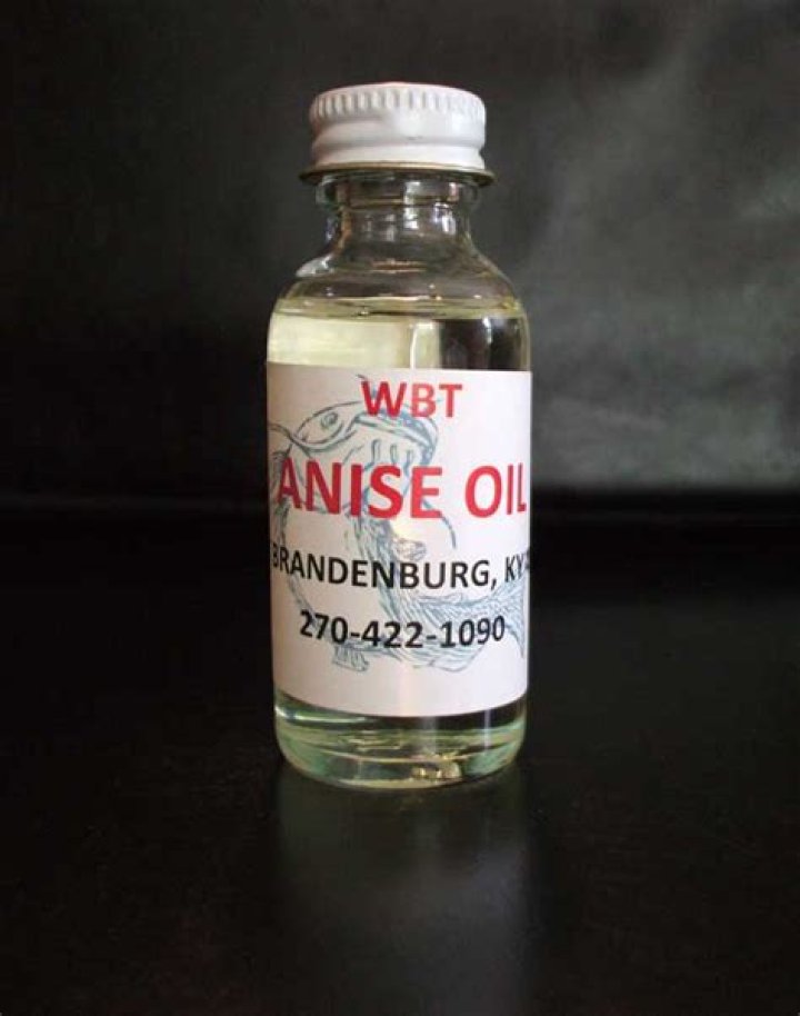 Do catfish like anise oil?