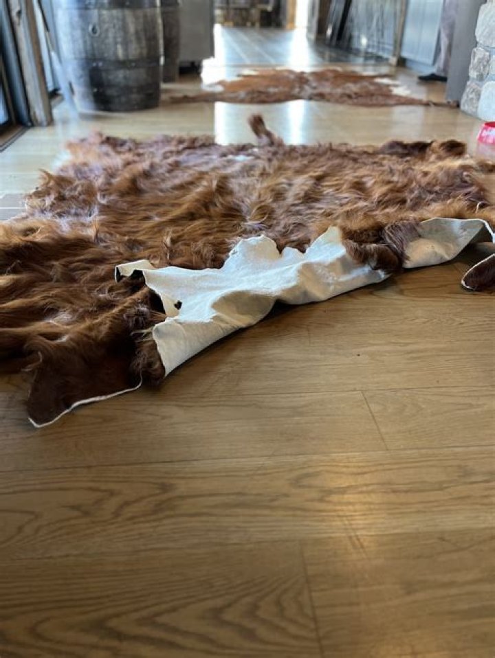 Do cow hides smell?