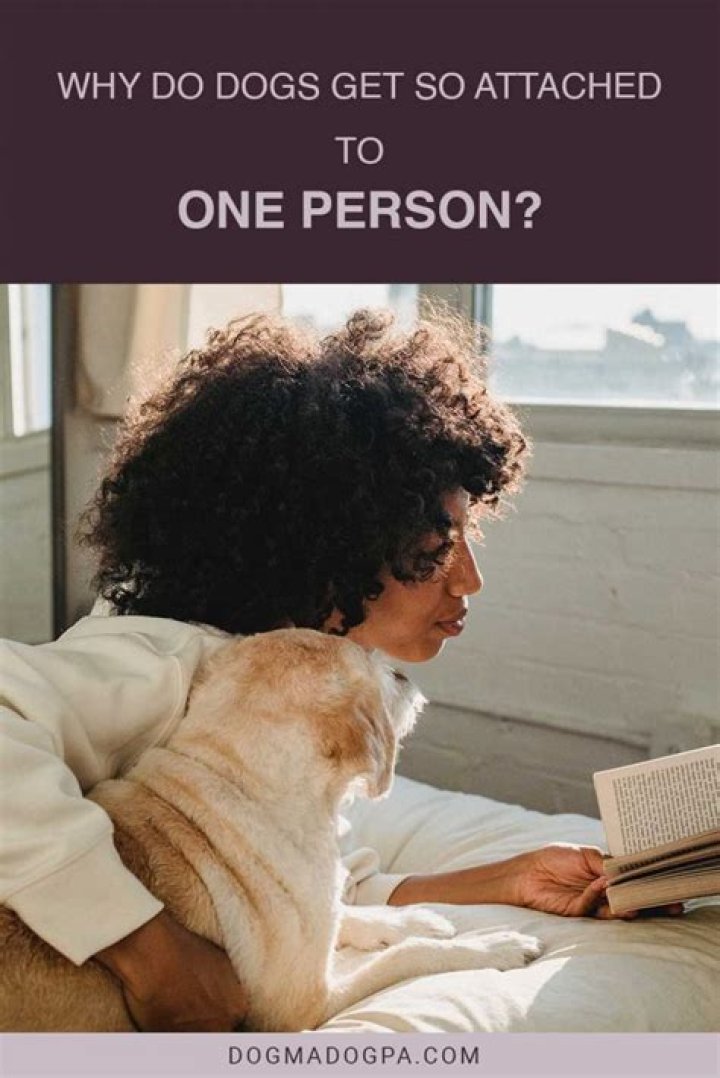 Do dogs get self conscious?