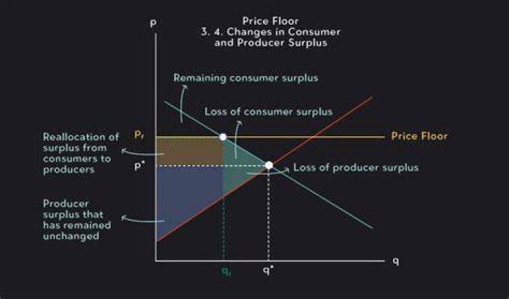 Do floors lead to surpluses?