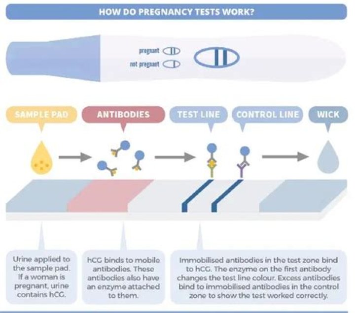 Do generic pregnancy tests work as well?