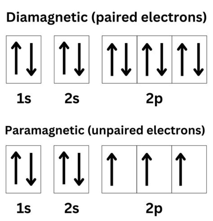 Do paramagnetic have unpaired electrons?