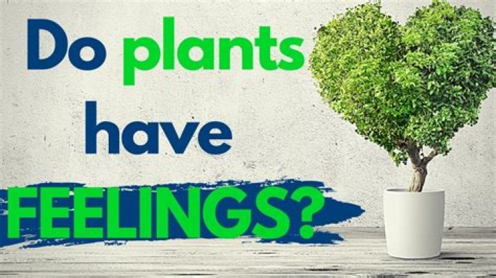 Do plants have emotions?