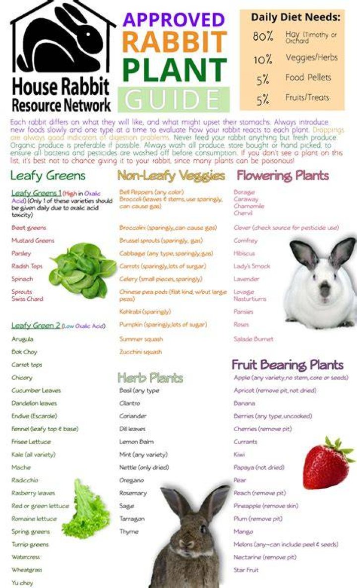 Do rabbits eat valerian?