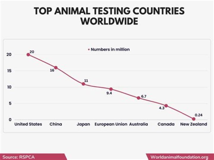 Do umberto giannini test on animals?
