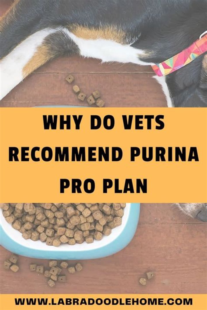 Do vets recommend purina pro plan?