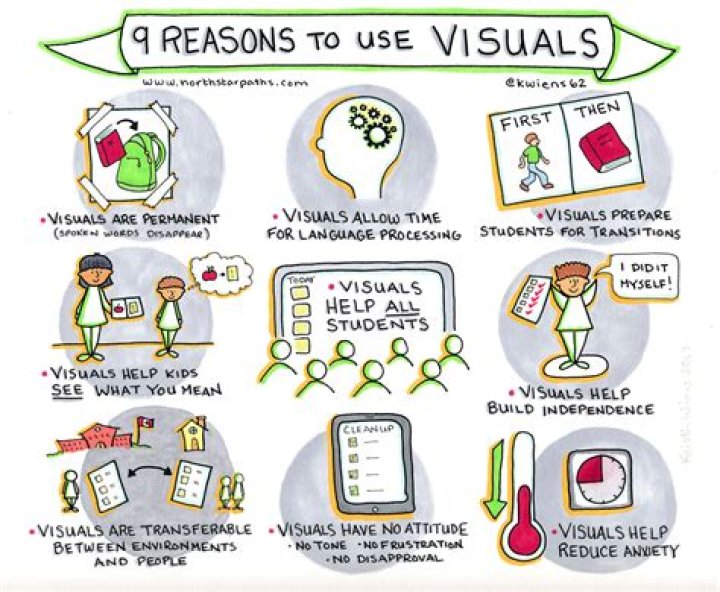 Do visuals help students learn?