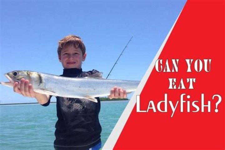 Do you eat ladyfish?