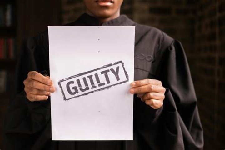 Does a guilty plea count as a conviction?
