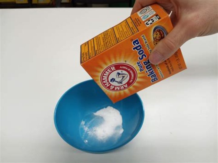 Does baking soda make seagulls explode?