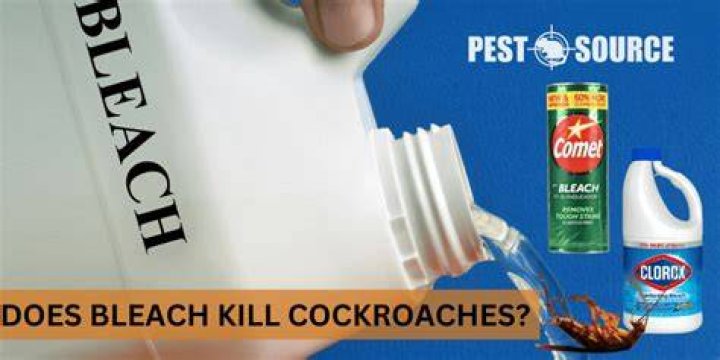Does bleach kill roundworm?