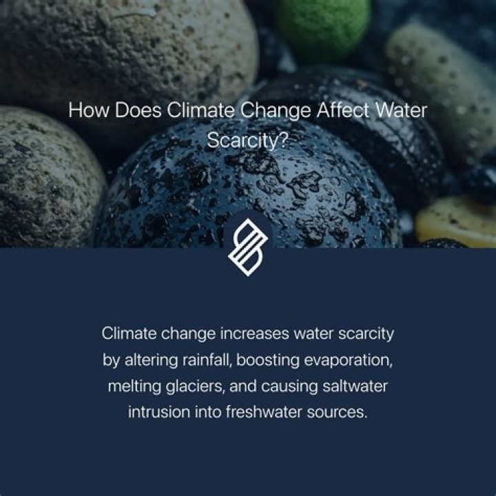Does caterpillar need water?