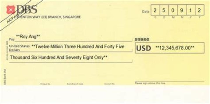 Does dbs bank provide cheque book?