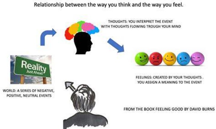 Does feeling come before thought?