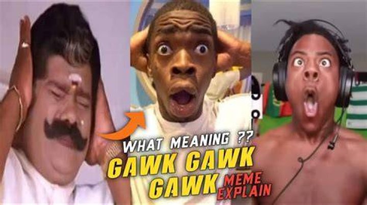 Does gawk mean stare?