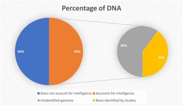 Does genetics play a role in intelligence?