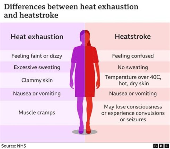 Does heat stroke cause fever?