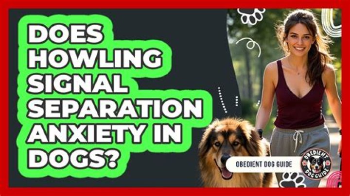 Does howling stress dogs?