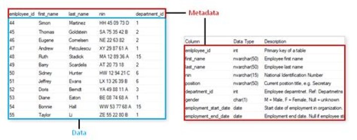 Does metadata stores only schema details?