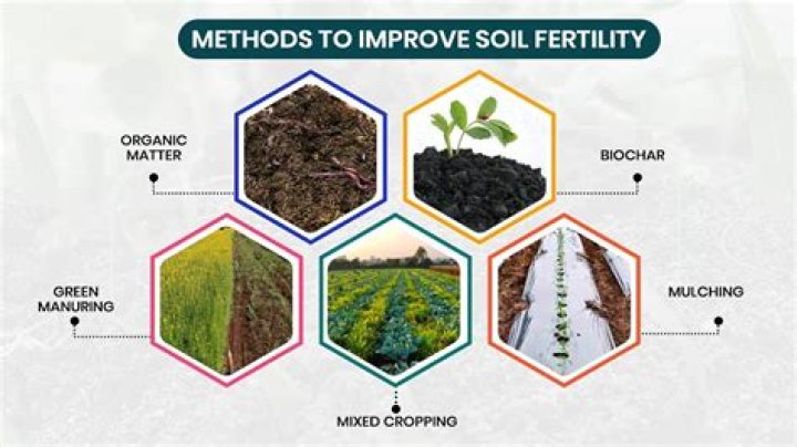 Does nitrifying bacteria increase soil fertility?